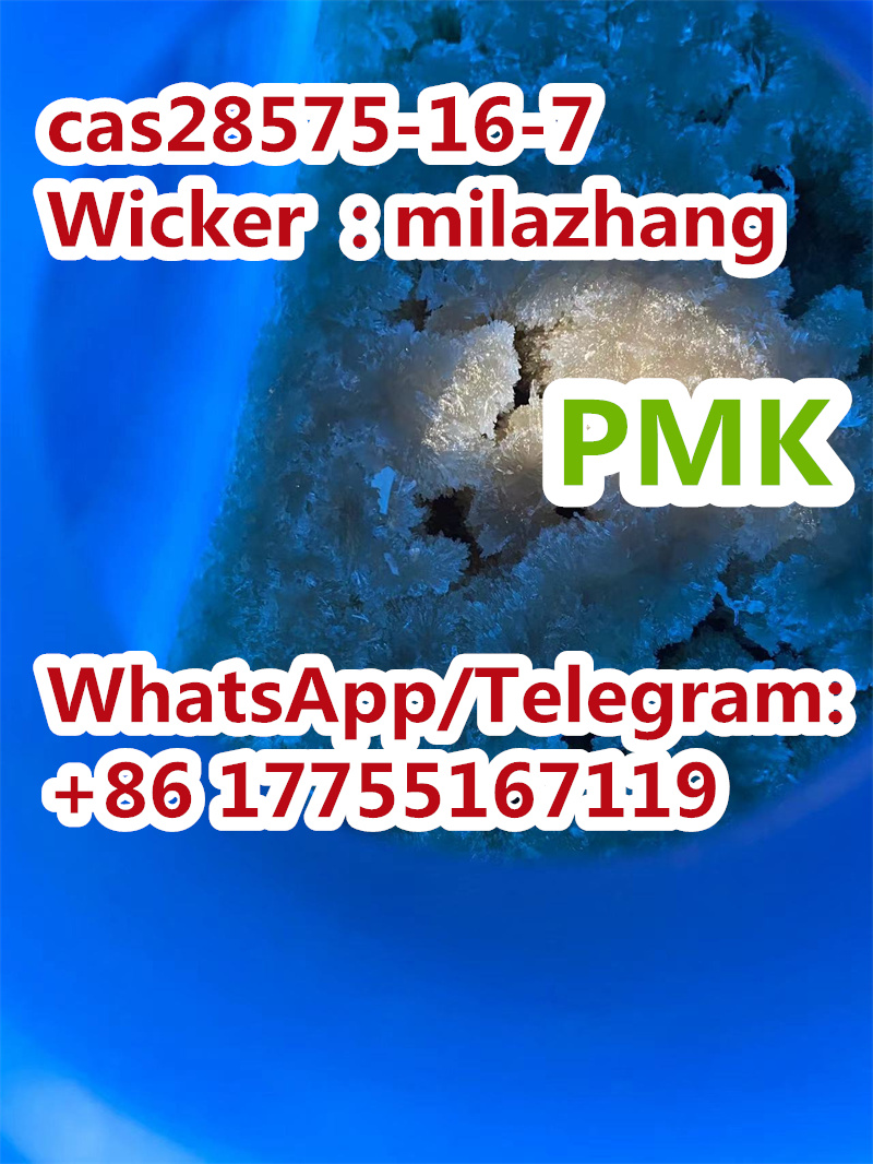 微信图片_20211117092828_副本4.jpg