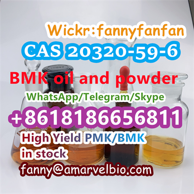 8618186656811-fanny@amarvelbio.com-bmk-cas 20320-59-6.19.png