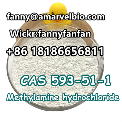 8618186656811-fanny@amarvelbio.com-hydrochloride-cas 593-51-1.16.jpg