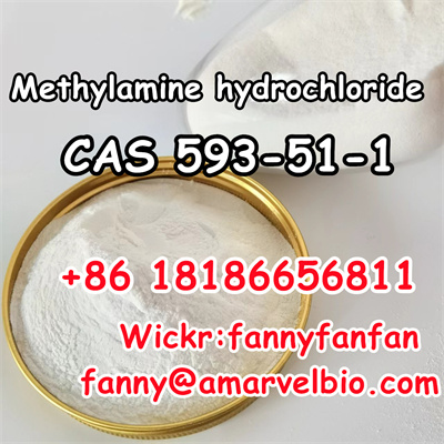 8618186656811-fanny@amarvelbio.com-hydrochloride-cas 593-51-1.21.jpg