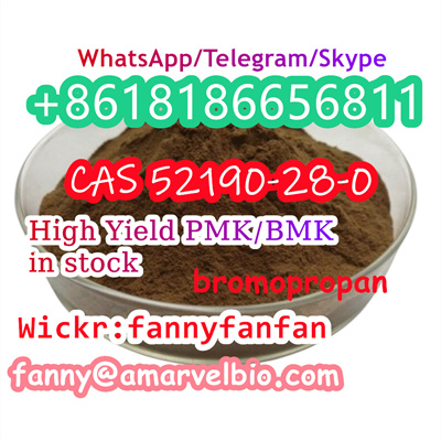 8618186656811-fanny@amarvelbio.com-bromopropan-cas 52190-28-0.6.jpg