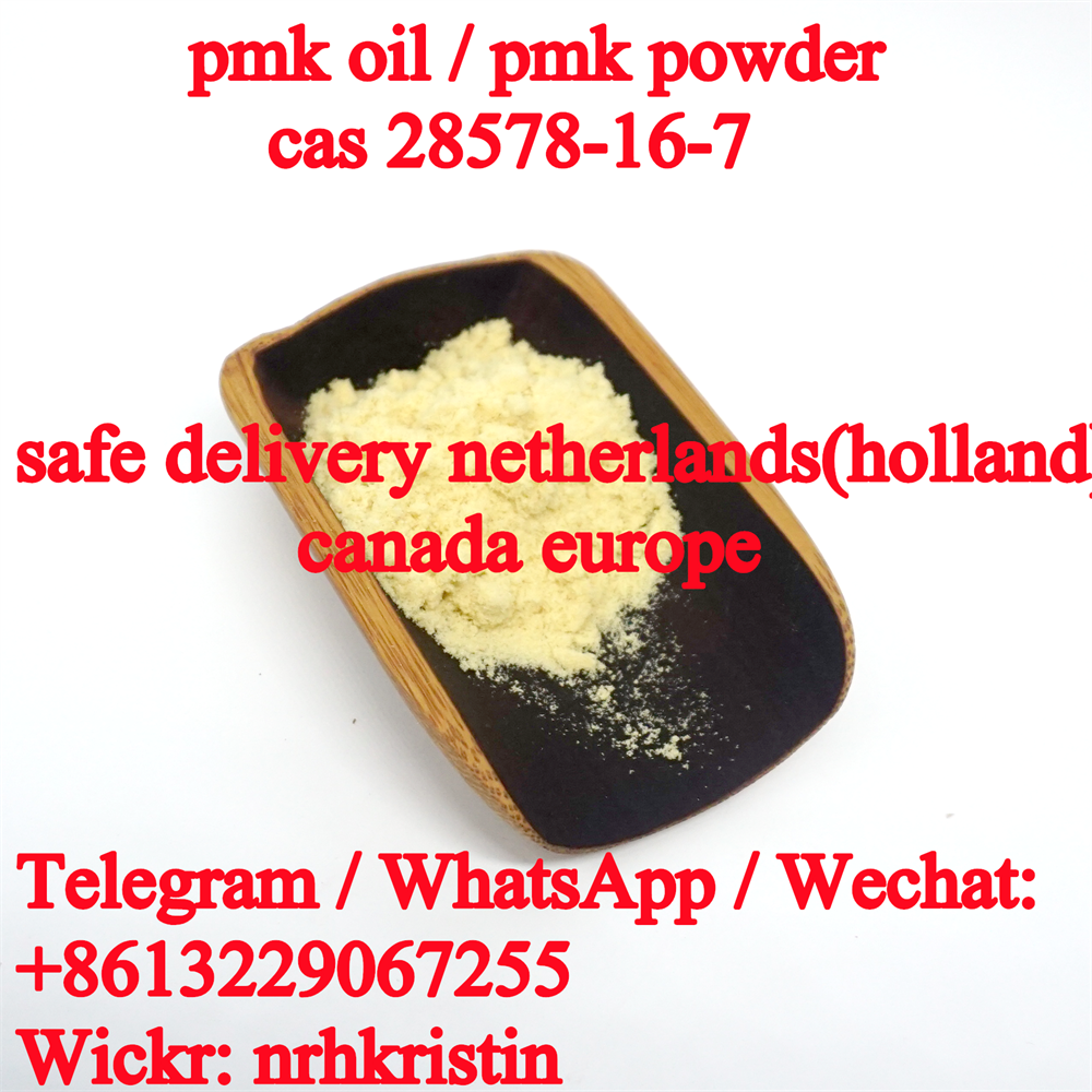 pmk powder netherlands