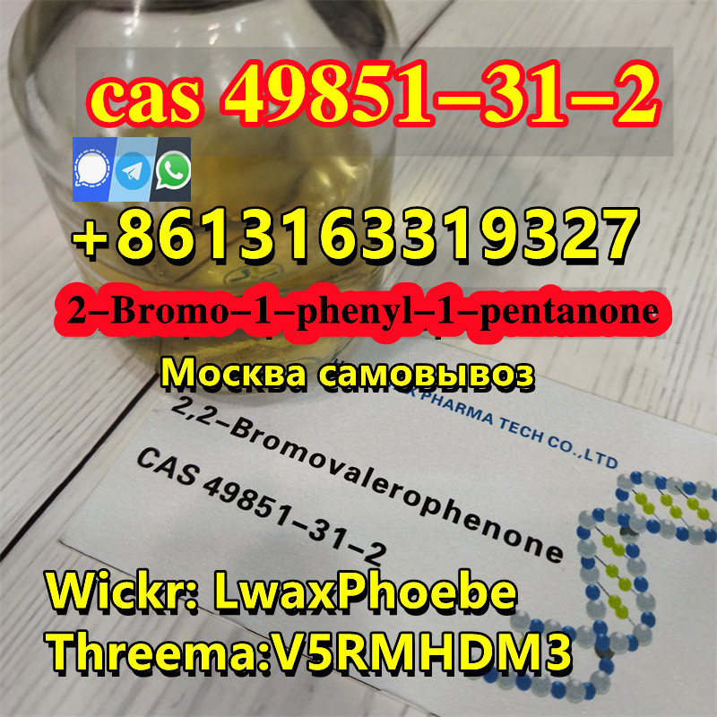 cas 49851.jpg