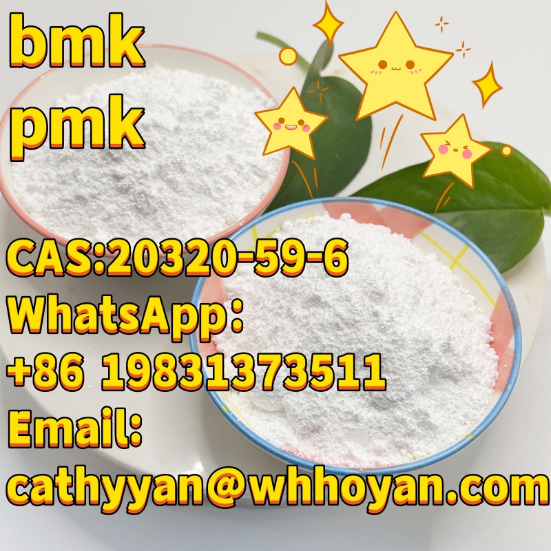 CAS28578-16-7 BMK PMK.jpg