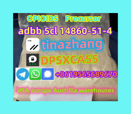 微信截图_20230922170141_副本_副本.png