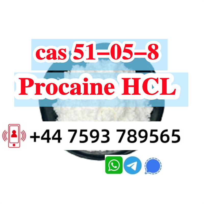 cas 51-05-8 Procaine Hcl factory (1).jpg