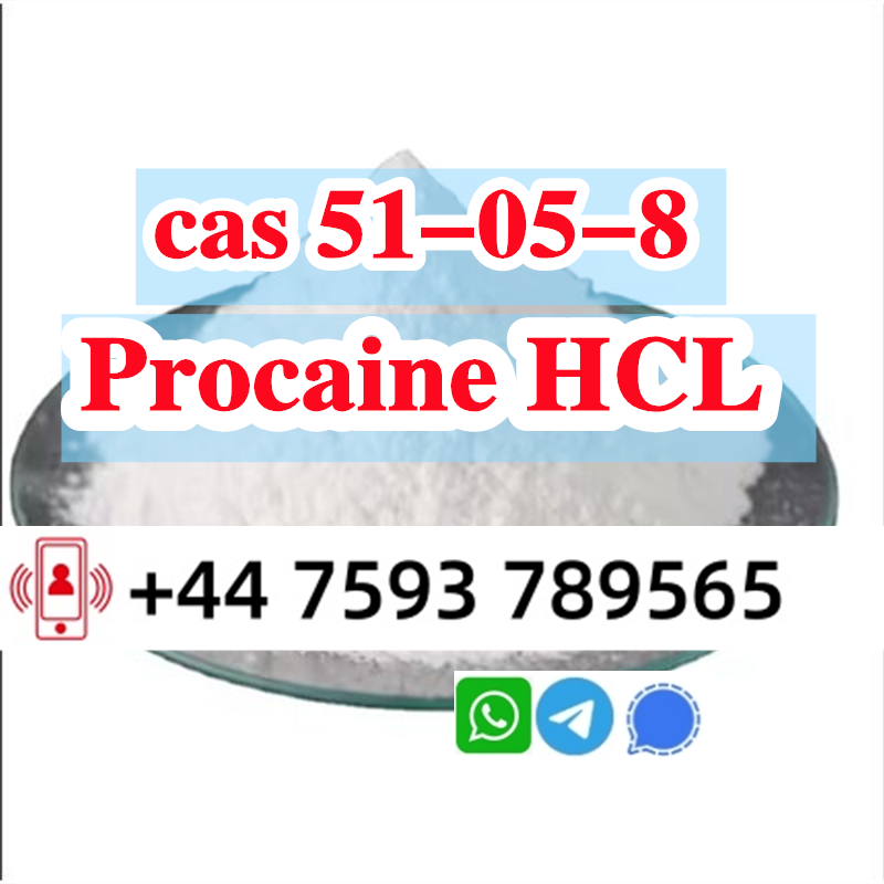 cas 51-05-8 Procaine Hcl factory (1).png