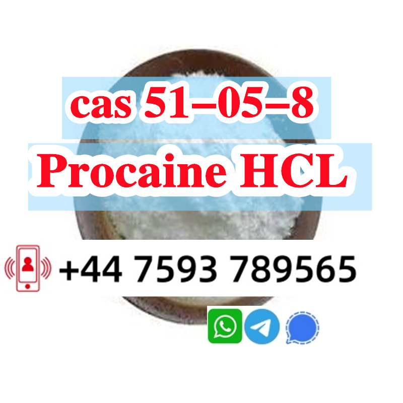 cas 51-05-8 Procaine Hcl factory (2).jpg