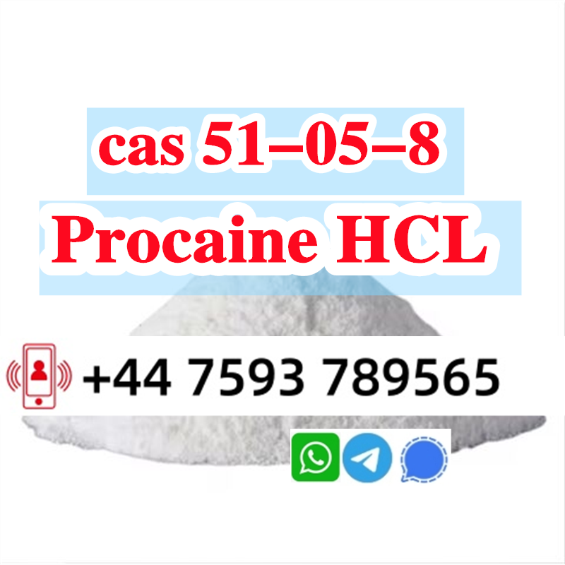 cas 51-05-8 Procaine Hcl factory (2).png