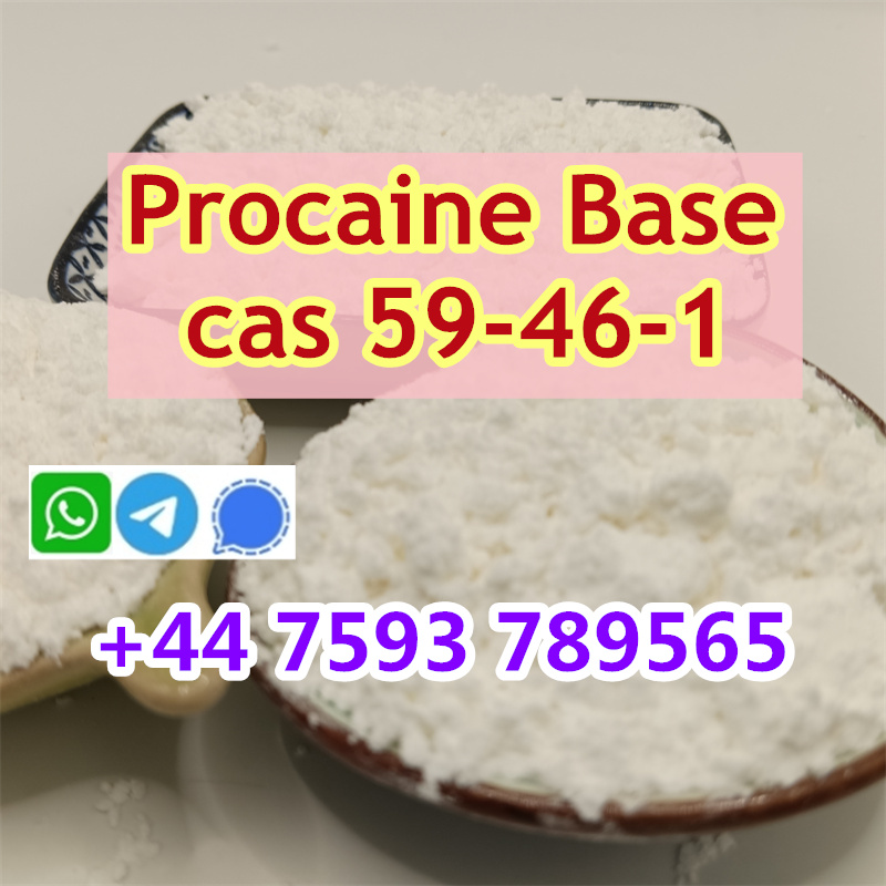 cas 59-46-1 Procaine factory (4).jpg