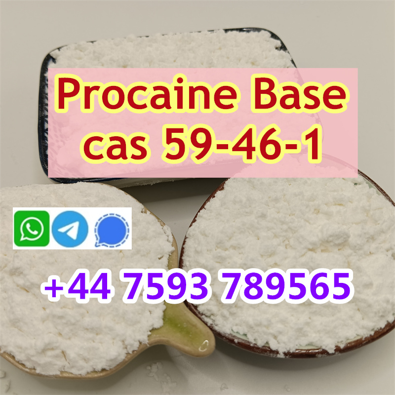 cas 59-46-1 Procaine factory (1).jpg