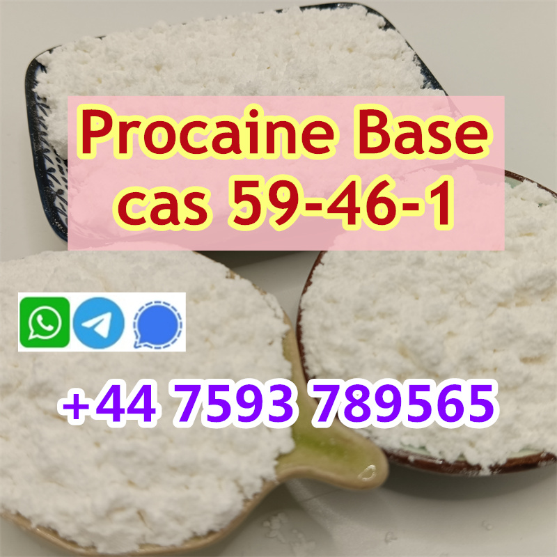 cas 59-46-1 Procaine factory (2).jpg