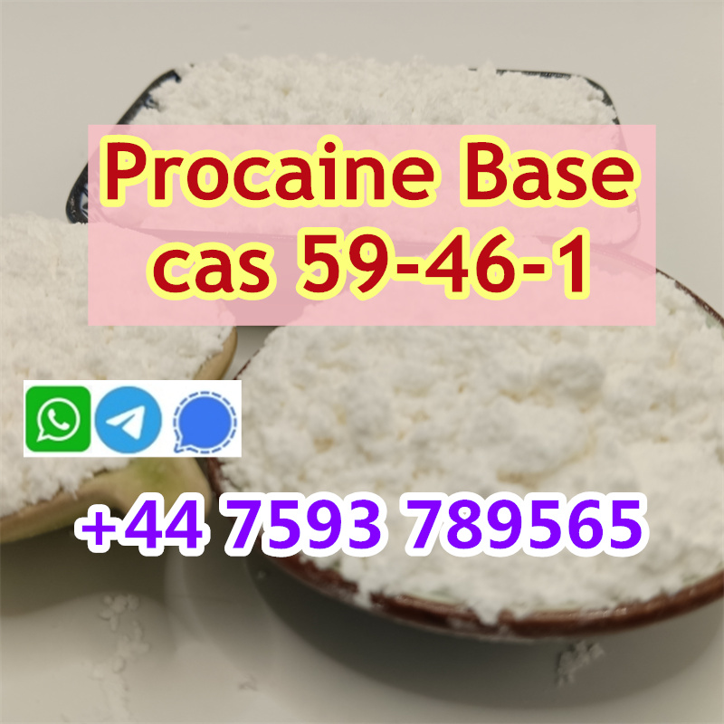 cas 59-46-1 Procaine factory (3).jpg