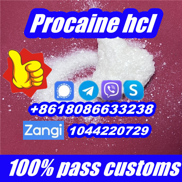 procaine,procaine hcl,buy procaine