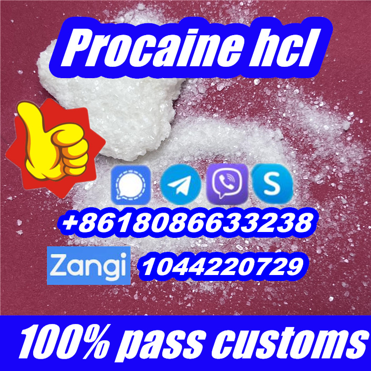 procaine,procaine hcl,buy procaine