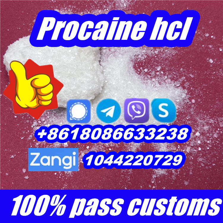 procaine,procaine hcl,buy procaine