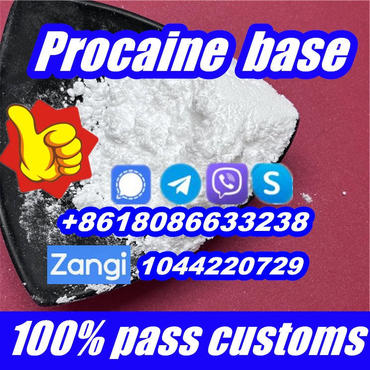 procaine base,procaine,procain