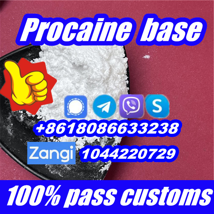 procaine base,procaine,procain