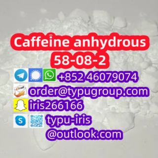 Caffeine anhydrous cas 58-08-2_副1本.jpg