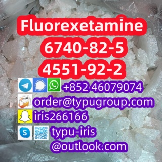 Fluorexetamine(3'-Fluoro-2-oxo-PCE, FXE) cas 6740-82-5、4551-92-2 (2)_副1本.jpg