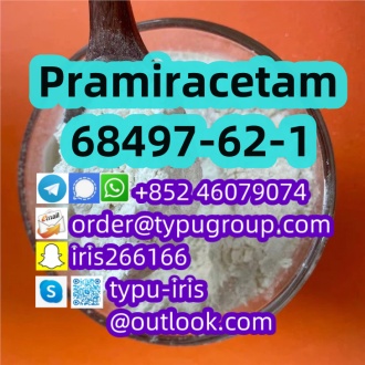 Pramiracetam cas 68497-62-1（4）_副1本.jpg