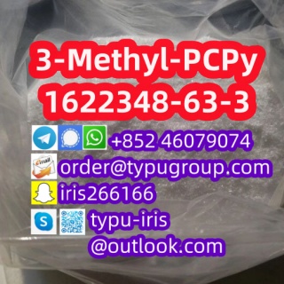 3-Methyl-PCPy(3-Me-PCPy) cas 1622348-63-3 (2)_副1本.jpg