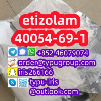 etizolam cas 40054-69-1 (2)_副1本.jpg