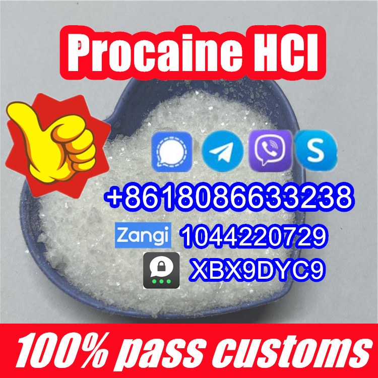 Procaine hcl,procaine hydrochloride