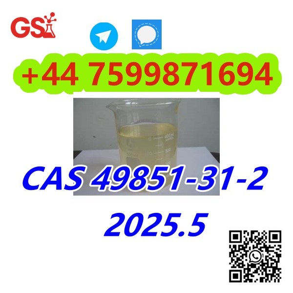 阿尔法_副本18.jpg
