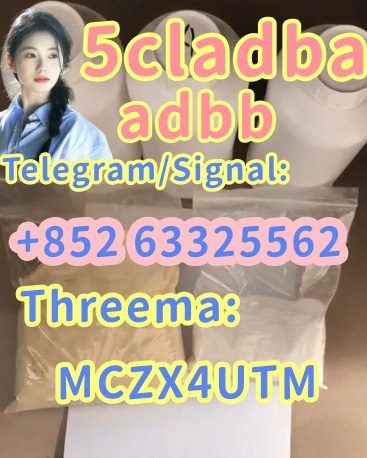 5cl24.jpg
