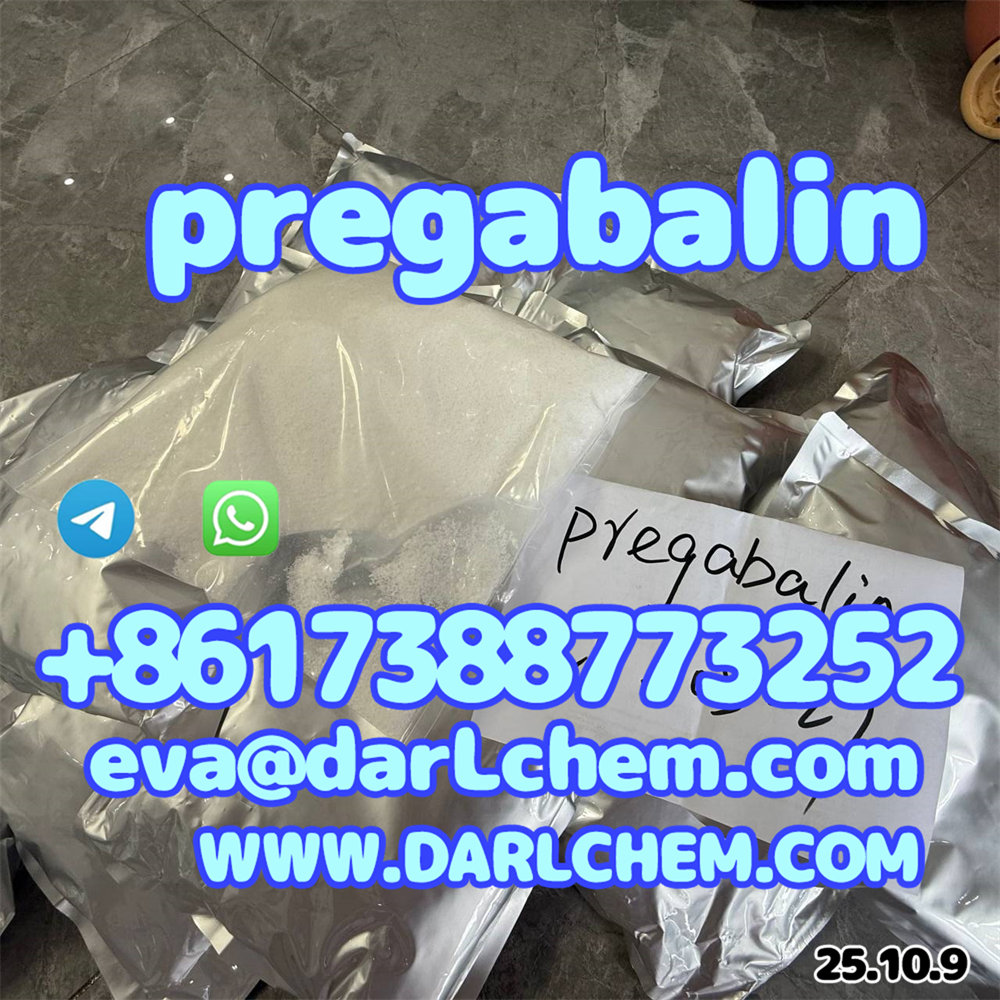 pre09.jpg