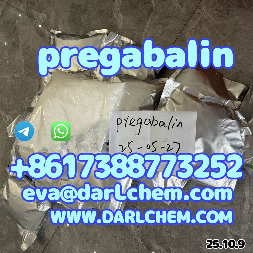 pre06.jpg